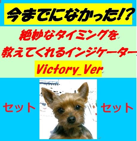 お得なセット【新インジケーターVictory.verも入ったチョーお得な4点セット】 インジケーター・電子書籍