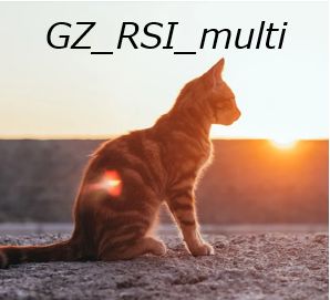 GZ_RSI_multi_M5 自動売買