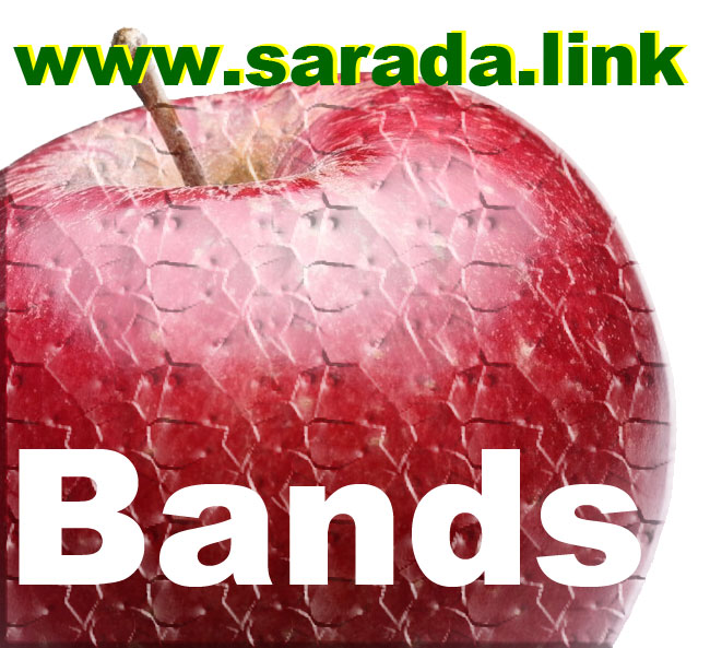 SD_Bands Chỉ báo - Sách điện tử