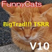 FC_BigTrad!!!_TSR_R Auto Trading