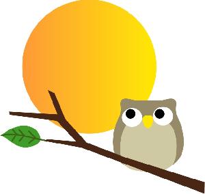 両建てトレード戦略を自動売買で行うEA