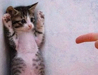 ファンダメンタルズ分析でバイナリーオプション Investment Navi+