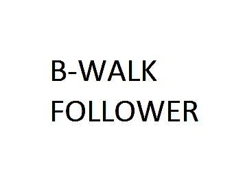 B-WALK follower USD/JPN H1 Auto Trading