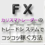 FX秘伝トレードシステム インジケーター・電子書籍