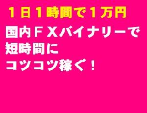 １日１時間で１万円稼ぐBO投資 Investment Navi+