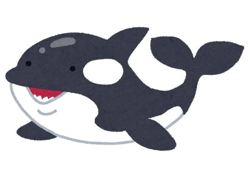 ORCA Tự động giao dịch