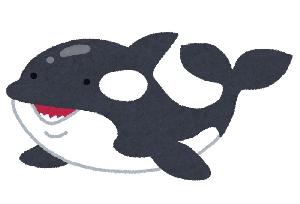 ORCA