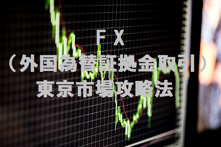FX（外国為替証拠金取引）東京市場攻略法 Indicators/E-books