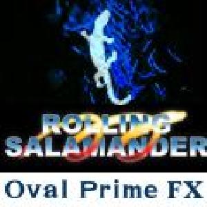 【ローリング・サラマンダー】