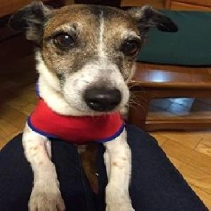 親子2代インターバンクトレーダーが送るFX必勝日記 投資ナビ＋