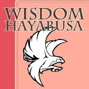 ウィズダムハヤブサ USD/JPY