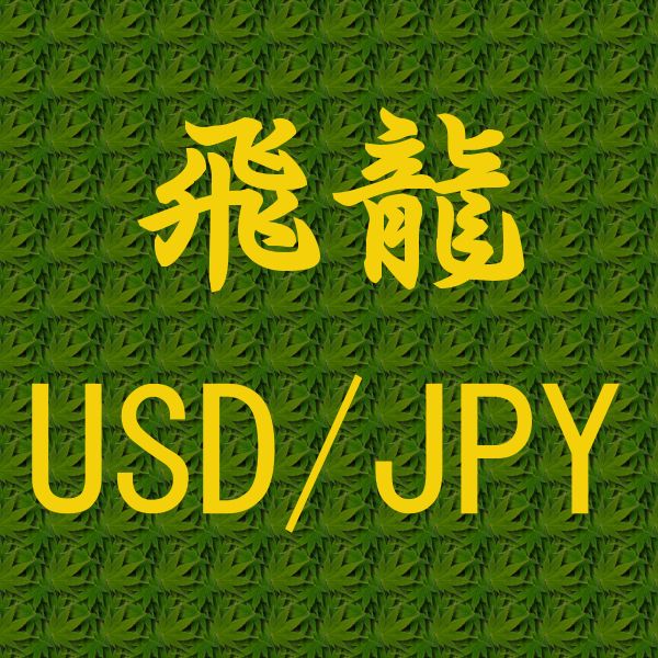 飛龍 USD/JPY 自動売買