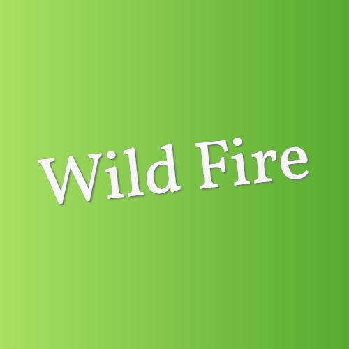 WildFire Auto Trading