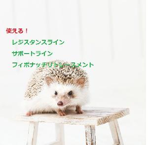 使える！レジスタンスライン＋サポートライン＋フィボナッチリトレースメント