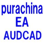 purachina　EA　AUDCAD専用 自動売買