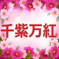 千紫万紅～SENSI-BANKOU～ 自動売買