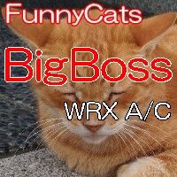 FC_BigBoss_WRX_A/C ซื้อขายอัตโนมัติ