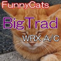 FC_BigTrad_WRX_A/C ซื้อขายอัตโนมัติ
