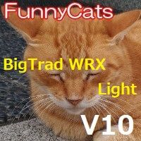 FC_BigTrad_WRX_Light_A/C  ซื้อขายอัตโนมัติ