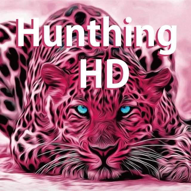 Hunthing_HD 自動売買