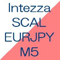 Intezza_SCAL_EURJPY_M5 自動売買