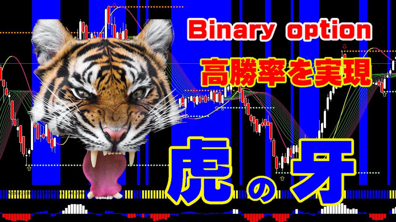 Binary option『虎の牙』 Indicators/E-books