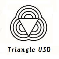 TriangleUSD 自動売買