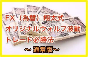 FX（為替）翔太式オリジナルウォルフ波動トレード必勝法 〜通常版〜
