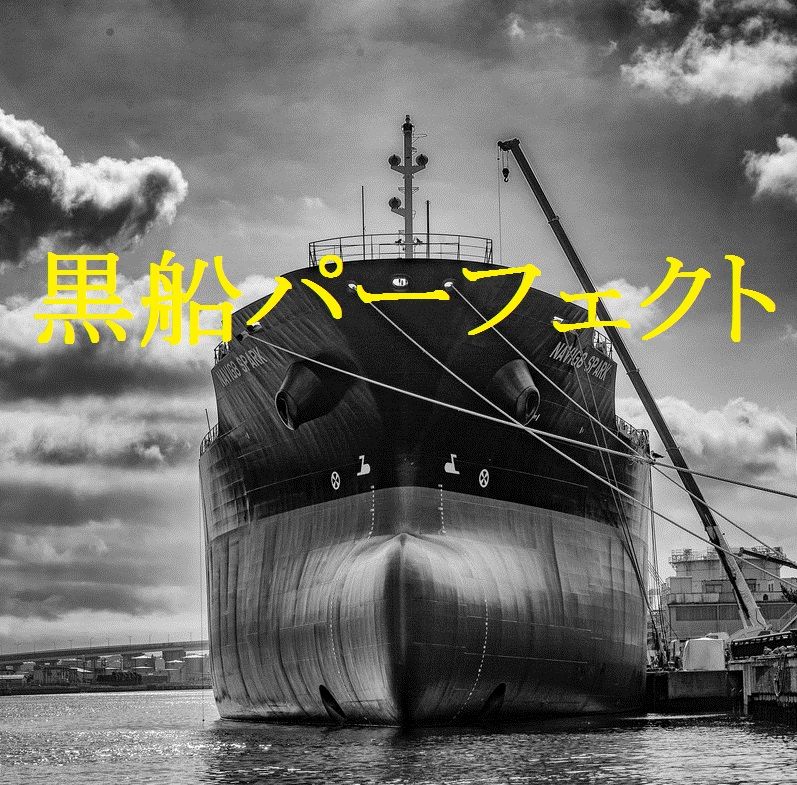 【黒船パーフェクト】エントリー報告 Investment Navi+