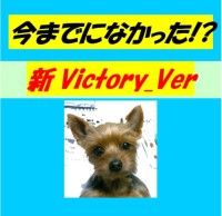 【新Victory.ver】　今までになかったシリーズVictory.ver　インジケーター インジケーター・電子書籍