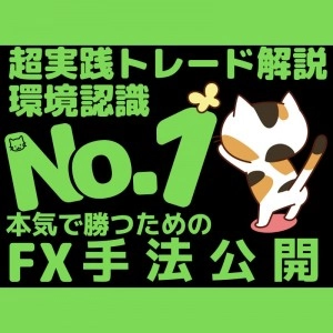 ＦＸ投資会員ブログー手法公開！ 投資ナビ＋