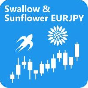 ツバメとヒマワリお買い得セット