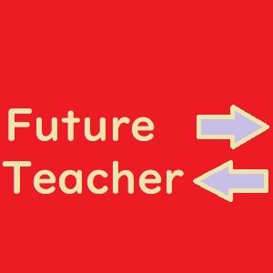 Future Teacher ポンドドル版  Auto Trading