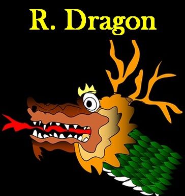 R.Dragon 自動売買