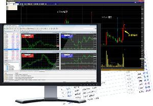 相場の原理原則（株式）