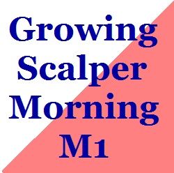 Growing_Scalper_Morning_M1 Auto Trading