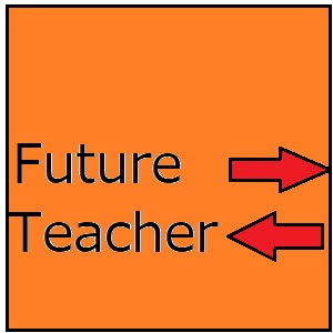 future_teacher_USDJPY_M5_V1_TOP.jpg