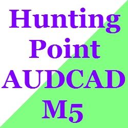 Hunting_Point_AUDCAD_M5 ซื้อขายอัตโนมัติ