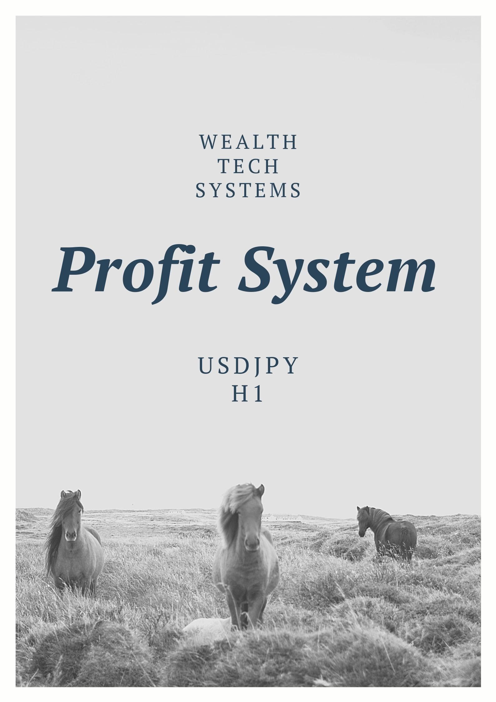 Profit System.jpg