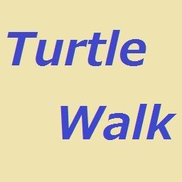 TurtleWalk_5m_scal Auto Trading