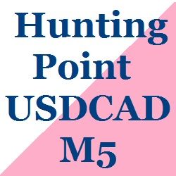 Hunting_Point_USDCAD_M5 ซื้อขายอัตโนมัติ