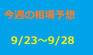 戦略を立てて稼げるトレードを身に着ける Investment Navi+
