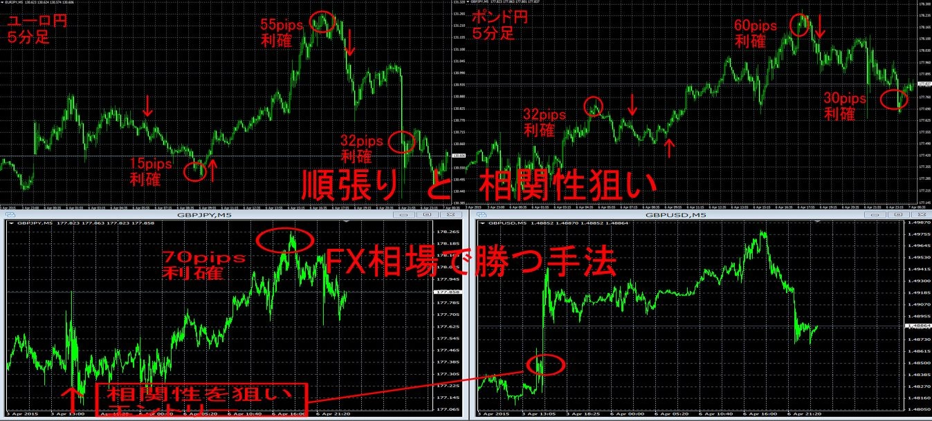 高い勝率で順張りするだけでfxに勝つ手法 インジケーター 電子書籍 投資戦略 トレード手法 相場分析 ツール 自動売買等の流通プラットフォーム Gogojungle