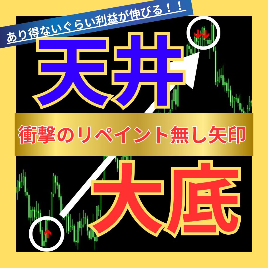 限定 待望のオリジナル最強インジケーター『FX-KAIDO』 インジケーター・電子書籍