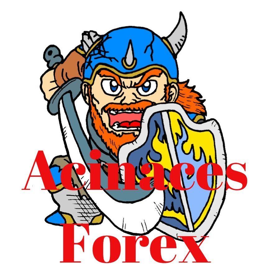 Acinaces_Forex 自動売買