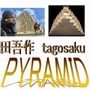 tagosaku pyramid 田吾作ピラミッド 自動売買