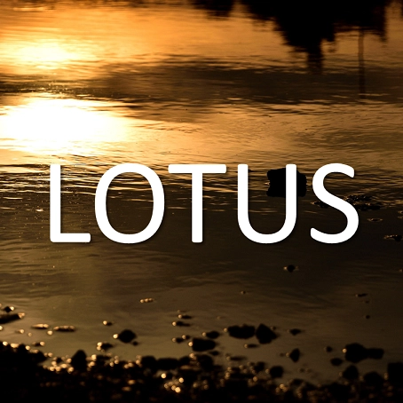 LOTUS_3.png