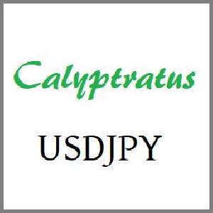 Calyptratus USDJPY