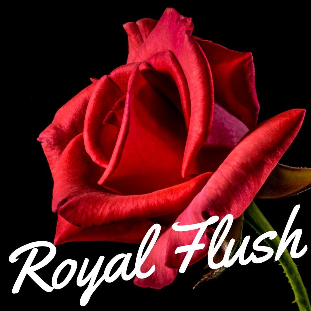 Royal Flush 自動売買