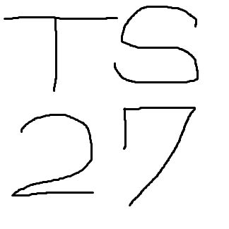 TS27 自動売買
